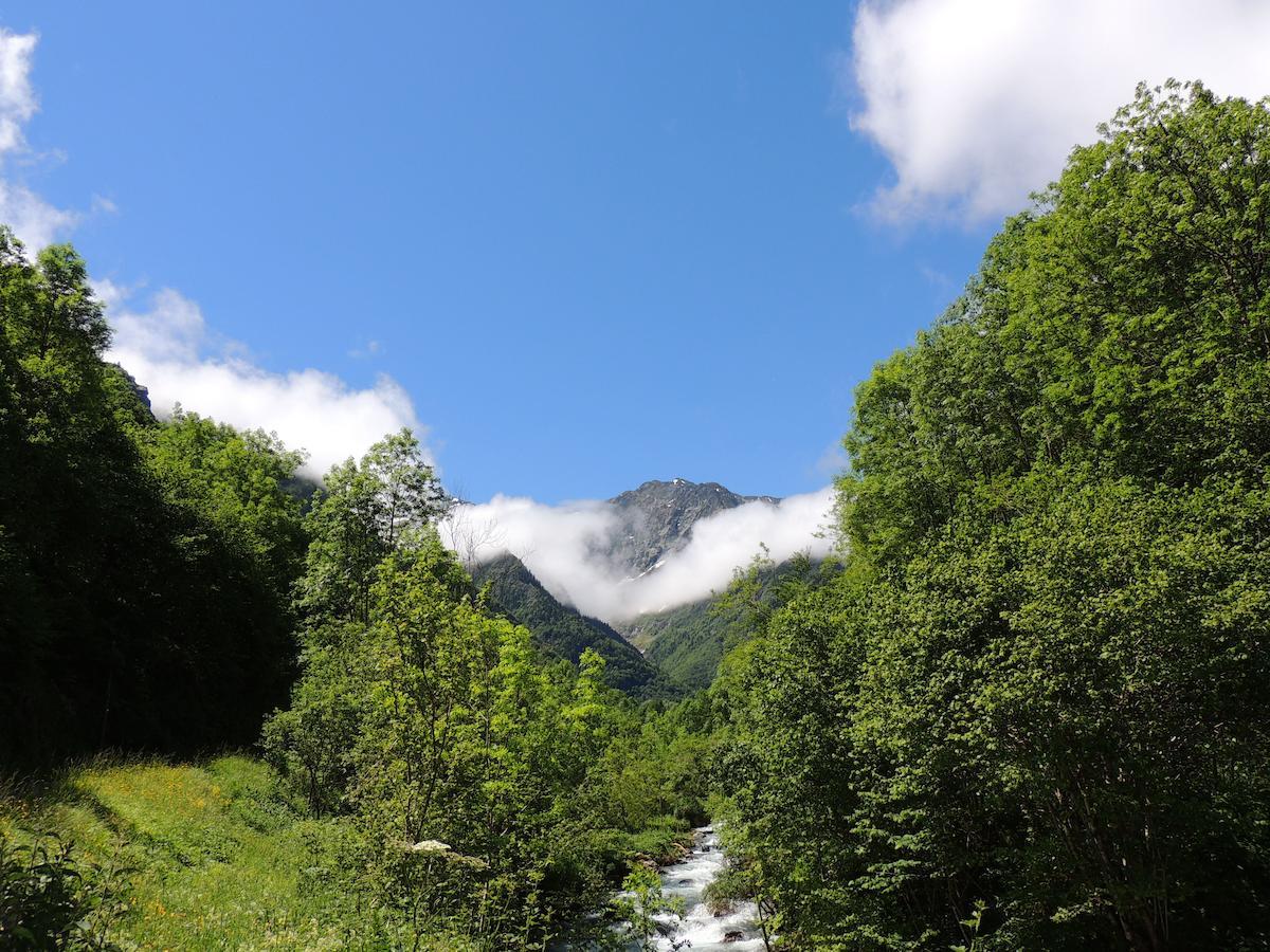 Auberge Les Myrtilles Couflens Zewnętrze zdjęcie