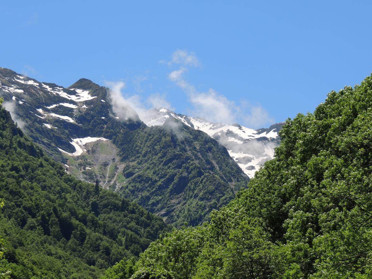 Auberge Les Myrtilles Couflens Zewnętrze zdjęcie