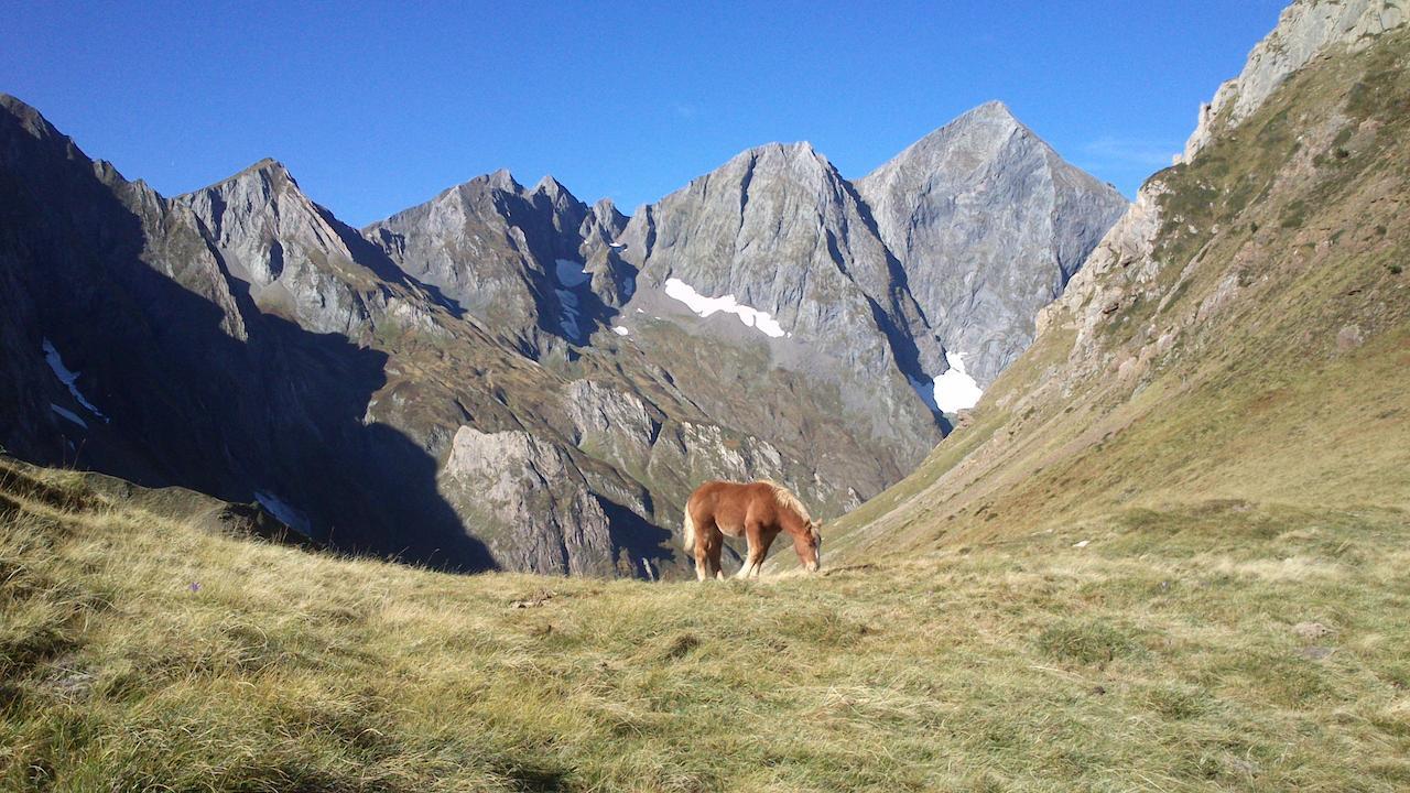 Auberge Les Myrtilles Couflens Zewnętrze zdjęcie