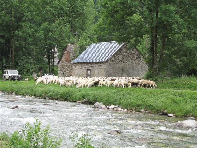 Auberge Les Myrtilles Couflens Zewnętrze zdjęcie